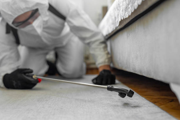 Professional Termite Control technician working in Tamarac, FL