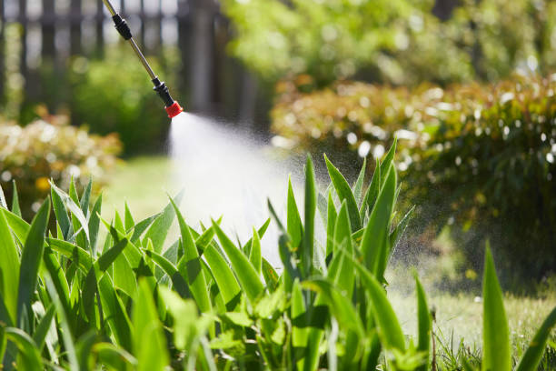 24/7 Emergency Termite Control experts in Tamarac, FL