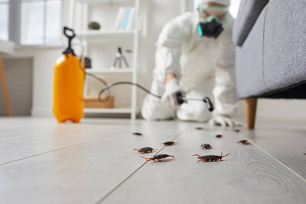Affordable Termite Control solutions in Tamarac, FL